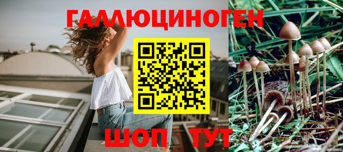 Псилоцибиновые грибы Magic Shrooms Муравленко